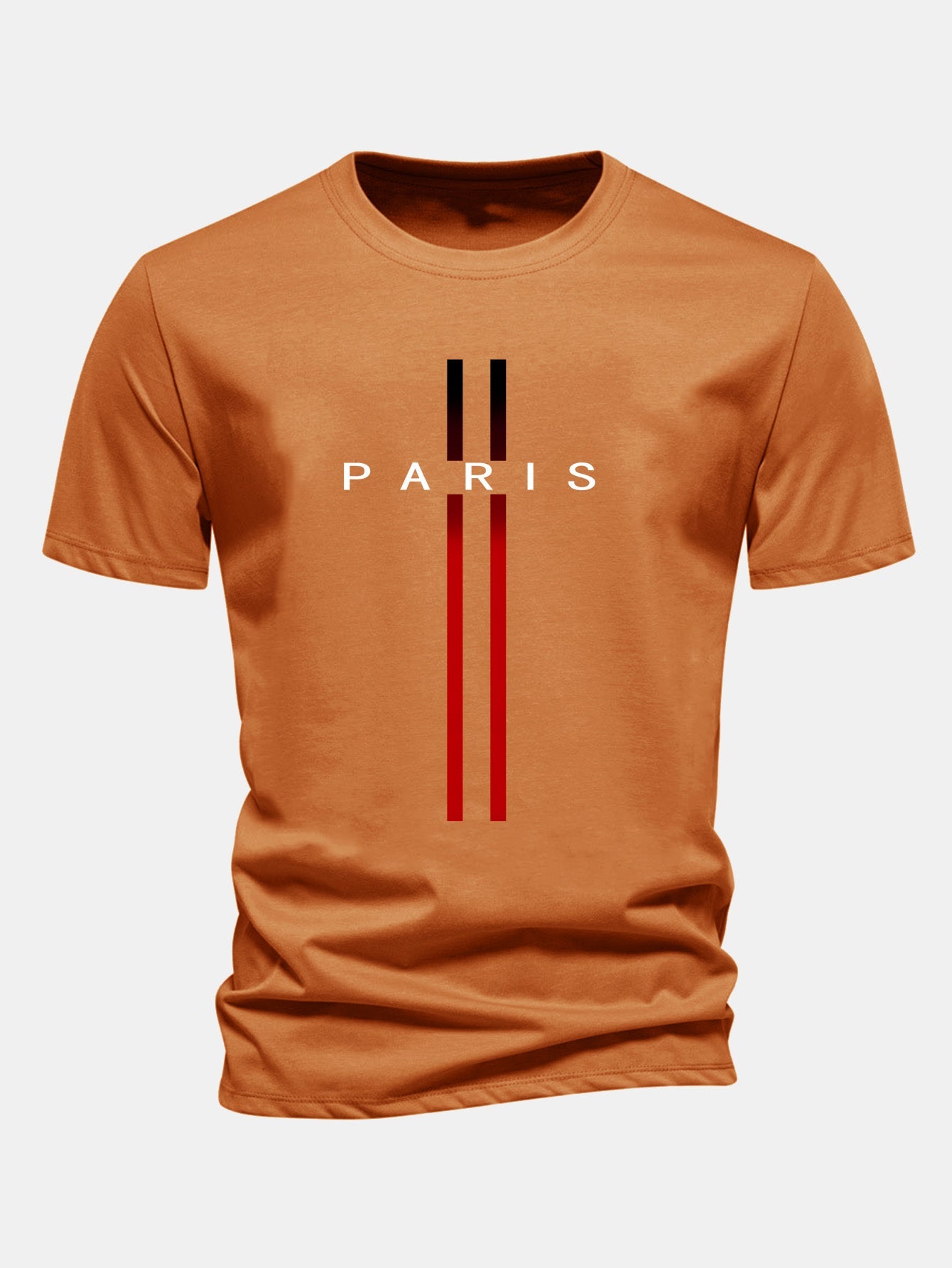 Regular Fit Stripe Paris Print Cotton T-Shirt